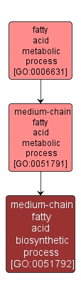 GO:0051792 - medium-chain fatty acid biosynthetic process (interactive image map)