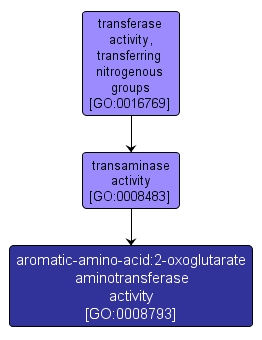 GO:0008793 - aromatic-amino-acid:2-oxoglutarate aminotransferase activity (interactive image map)