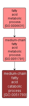 GO:0051793 - medium-chain fatty acid catabolic process (interactive image map)