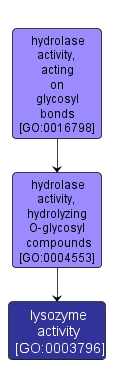 GO:0003796 - lysozyme activity (interactive image map)