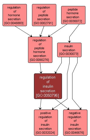 GO:0050796 - regulation of insulin secretion (interactive image map)