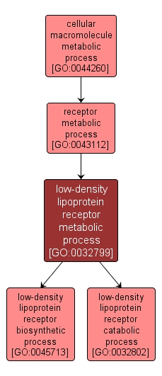 GO:0032799 - low-density lipoprotein receptor metabolic process (interactive image map)