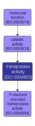 GO:0004803 - transposase activity (interactive image map)