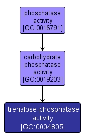 GO:0004805 - trehalose-phosphatase activity (interactive image map)