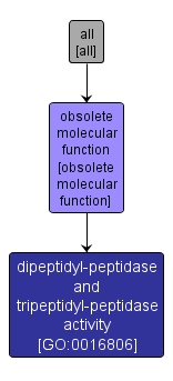 GO:0016806 - dipeptidyl-peptidase and tripeptidyl-peptidase activity (interactive image map)