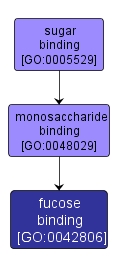 GO:0042806 - fucose binding (interactive image map)