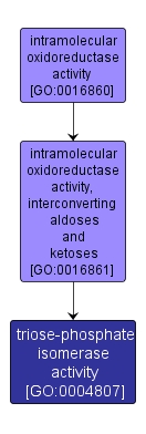 GO:0004807 - triose-phosphate isomerase activity (interactive image map)
