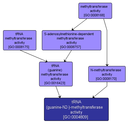 GO:0004809 - tRNA (guanine-N2-)-methyltransferase activity (interactive image map)