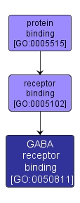 GO:0050811 - GABA receptor binding (interactive image map)