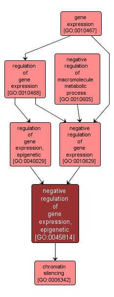 GO:0045814 - negative regulation of gene expression, epigenetic (interactive image map)