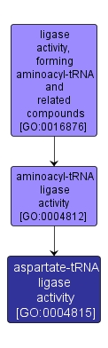 GO:0004815 - aspartate-tRNA ligase activity (interactive image map)