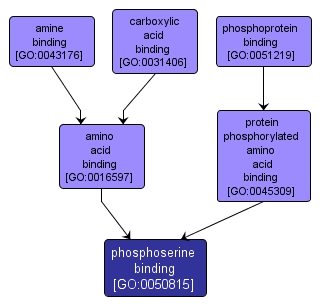 GO:0050815 - phosphoserine binding (interactive image map)