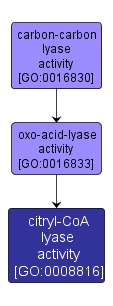 GO:0008816 - citryl-CoA lyase activity (interactive image map)