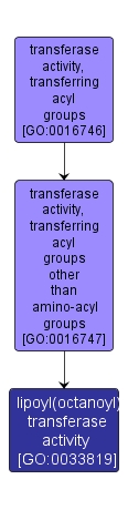 GO:0033819 - lipoyl(octanoyl) transferase activity (interactive image map)