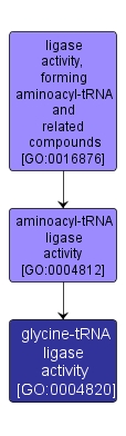 GO:0004820 - glycine-tRNA ligase activity (interactive image map)