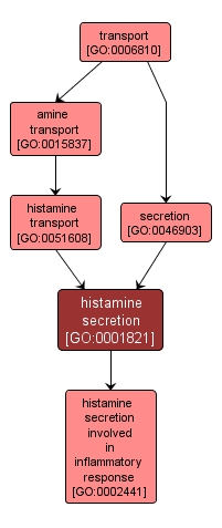 GO:0001821 - histamine secretion (interactive image map)