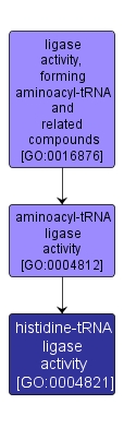 GO:0004821 - histidine-tRNA ligase activity (interactive image map)
