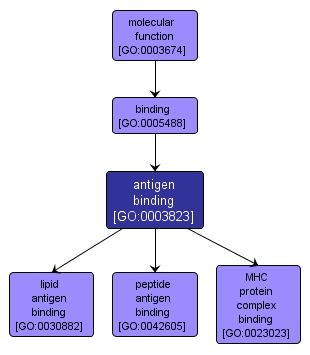 GO:0003823 - antigen binding (interactive image map)