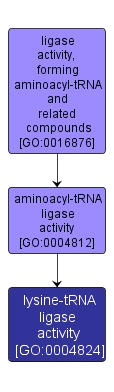 GO:0004824 - lysine-tRNA ligase activity (interactive image map)