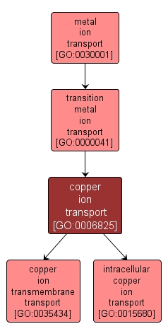 GO:0006825 - copper ion transport (interactive image map)