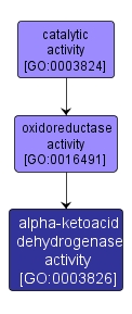 GO:0003826 - alpha-ketoacid dehydrogenase activity (interactive image map)