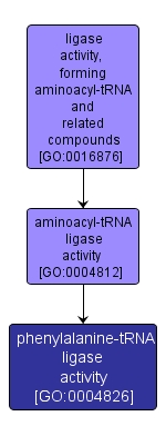 GO:0004826 - phenylalanine-tRNA ligase activity (interactive image map)