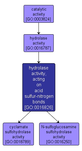 GO:0016826 - hydrolase activity, acting on acid sulfur-nitrogen bonds (interactive image map)