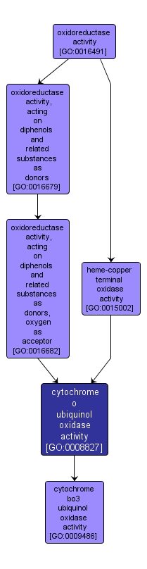 GO:0008827 - cytochrome o ubiquinol oxidase activity (interactive image map)