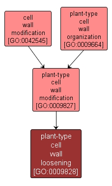 GO:0009828 - plant-type cell wall loosening (interactive image map)