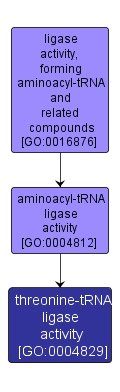 GO:0004829 - threonine-tRNA ligase activity (interactive image map)