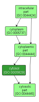 GO:0005829 - cytosol (interactive image map)