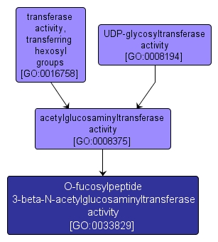 GO:0033829 - O-fucosylpeptide 3-beta-N-acetylglucosaminyltransferase activity (interactive image map)