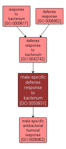 GO:0050831 - male-specific defense response to bacterium (interactive image map)