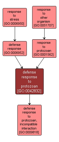 GO:0042832 - defense response to protozoan (interactive image map)