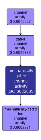 GO:0022833 - mechanically gated channel activity (interactive image map)