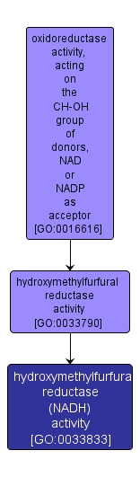 GO:0033833 - hydroxymethylfurfural reductase (NADH) activity (interactive image map)