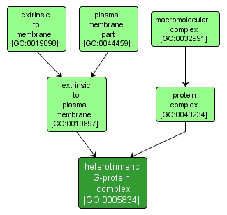 GO:0005834 - heterotrimeric G-protein complex (interactive image map)