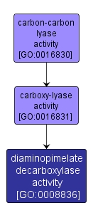 GO:0008836 - diaminopimelate decarboxylase activity (interactive image map)