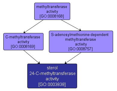 GO:0003838 - sterol 24-C-methyltransferase activity (interactive image map)