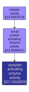 GO:0004839 - ubiquitin activating enzyme activity (interactive image map)