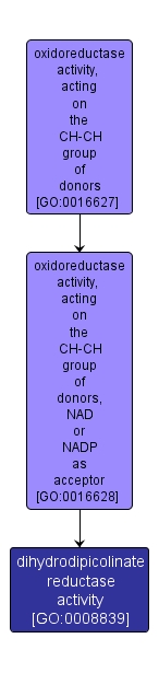 GO:0008839 - dihydrodipicolinate reductase activity (interactive image map)