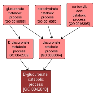 GO:0042840 - D-glucuronate catabolic process (interactive image map)