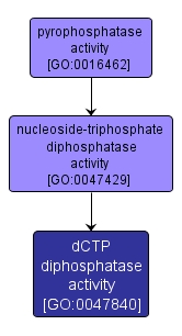 GO:0047840 - dCTP diphosphatase activity (interactive image map)