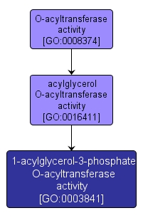 GO:0003841 - 1-acylglycerol-3-phosphate O-acyltransferase activity (interactive image map)