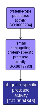 GO:0004843 - ubiquitin-specific protease activity (interactive image map)