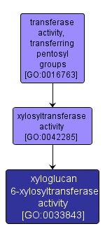 GO:0033843 - xyloglucan 6-xylosyltransferase activity (interactive image map)