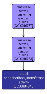 GO:0004845 - uracil phosphoribosyltransferase activity (interactive image map)