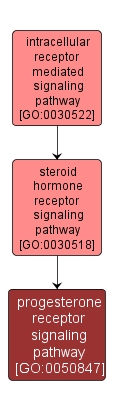 GO:0050847 - progesterone receptor signaling pathway (interactive image map)