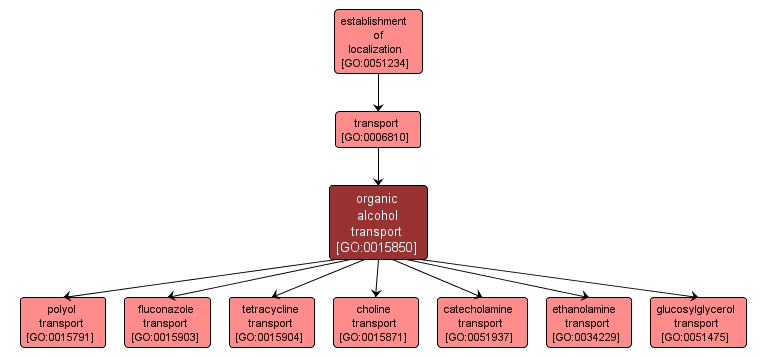 GO:0015850 - organic alcohol transport (interactive image map)