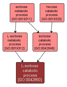 GO:0042850 - L-sorbose catabolic process (interactive image map)